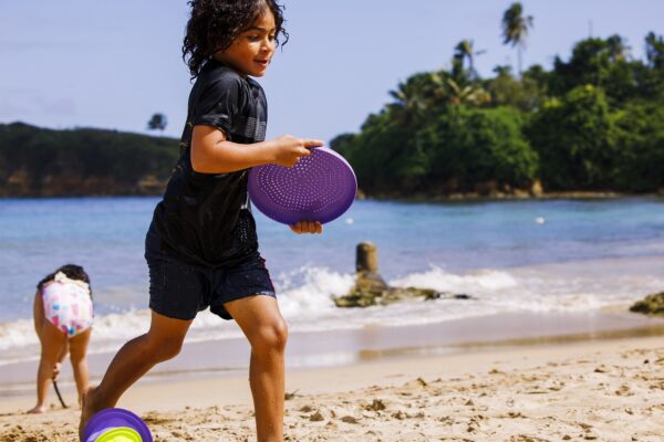 Frisbee (5) FliBi Skaidanti lėkštė