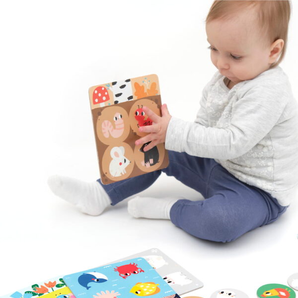 Žaiskime. Gyvūnų buveinių bingo