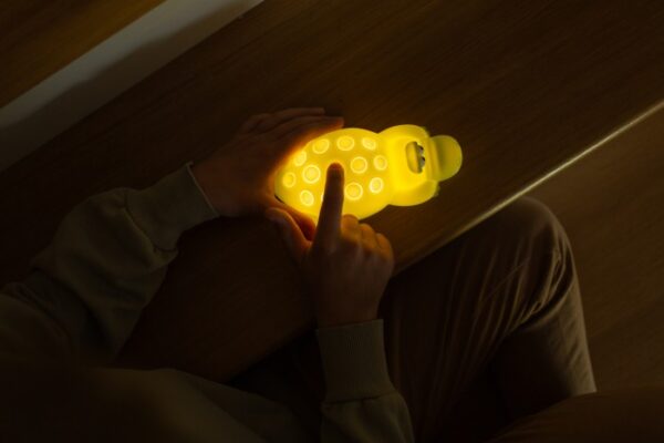 Naktinė lempa - Krokodilas