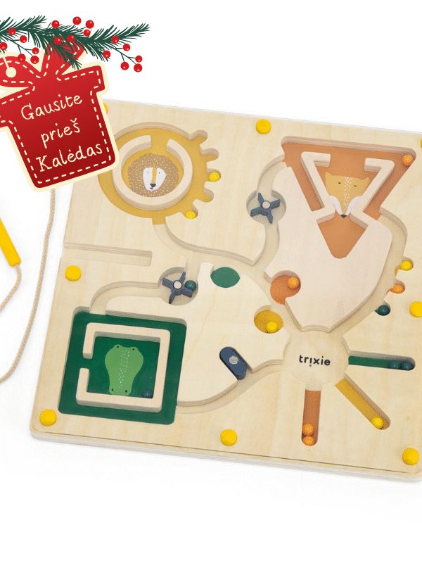 Trixie™ magnetinis labirintas