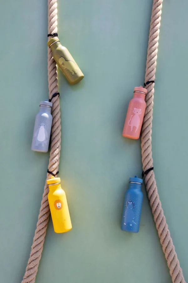 Gertuvė 500ml - Triceratopsas trixie™